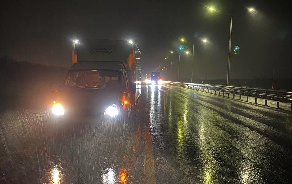 Неизвестный мужчина погиб под колесами фургона на трассе под Воронежем