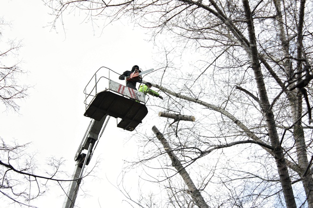 По 23 адресам: в Ленинском районе Воронежа успешно реализуются муниципальные экологические программы