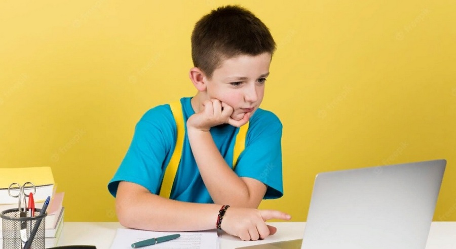 Возбуждение дела воронежским УФАС прокомментировала платформа «Дневник.ру»