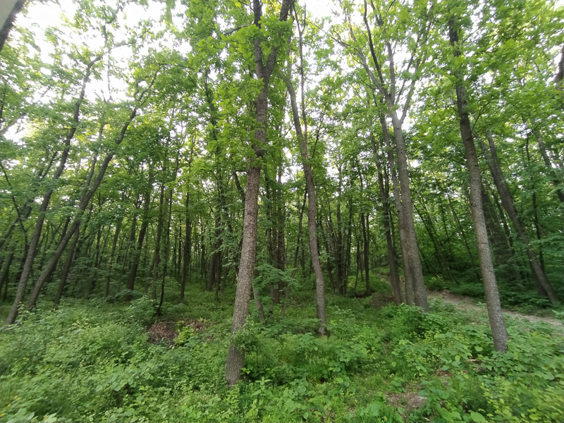 Жители микрорайона Краснолесный стали победителем экологического конкурса «Родные берега»