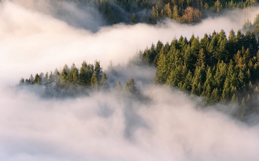 В Воронеже нашли погибшим пропавшего 34-летнего мужчину