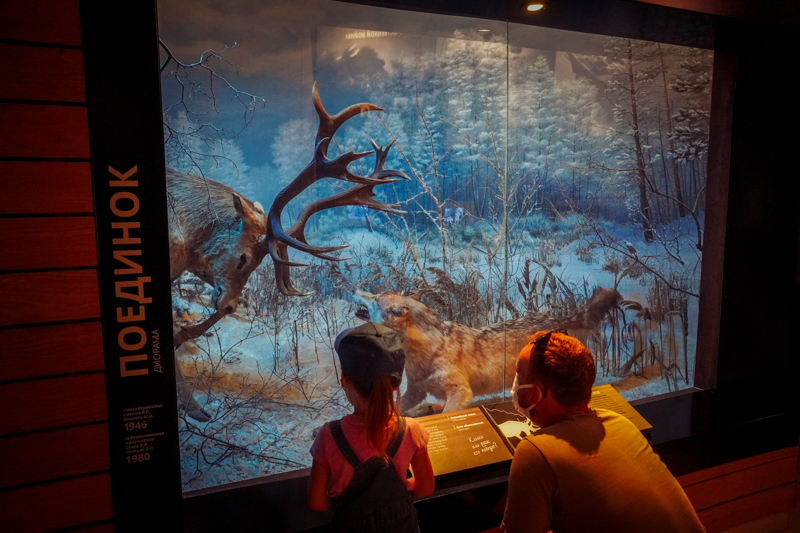 Воронежский Хоперский заповедник с 1 мая перейдет на летний режим работы