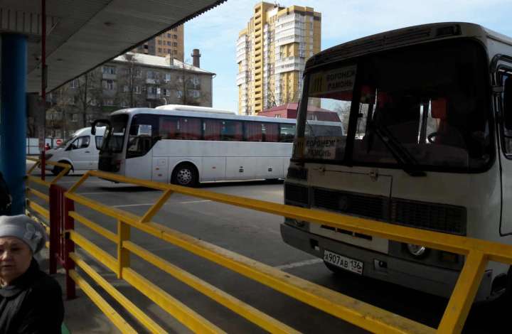 Перевозчик маршрутов из Воронежа в Семилуки и Отрадное внесён в реестр недобросовестных