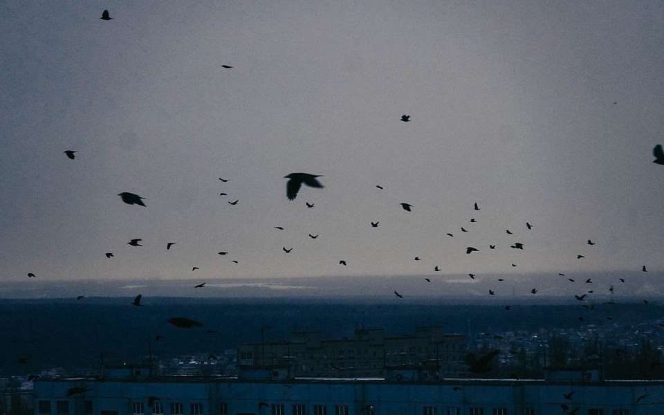 Опасная погода задержится до 15 марта в Воронежской области