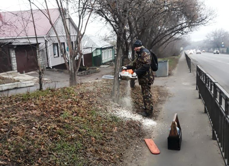 В Ленинском районе Воронежа завершаются работы по осенней обрезке зеленых насаждений