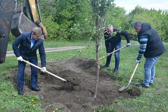 Рябиновая аллея в честь Дня Победы появилась на Шиловском плацдарме при участии воронежских депутатов