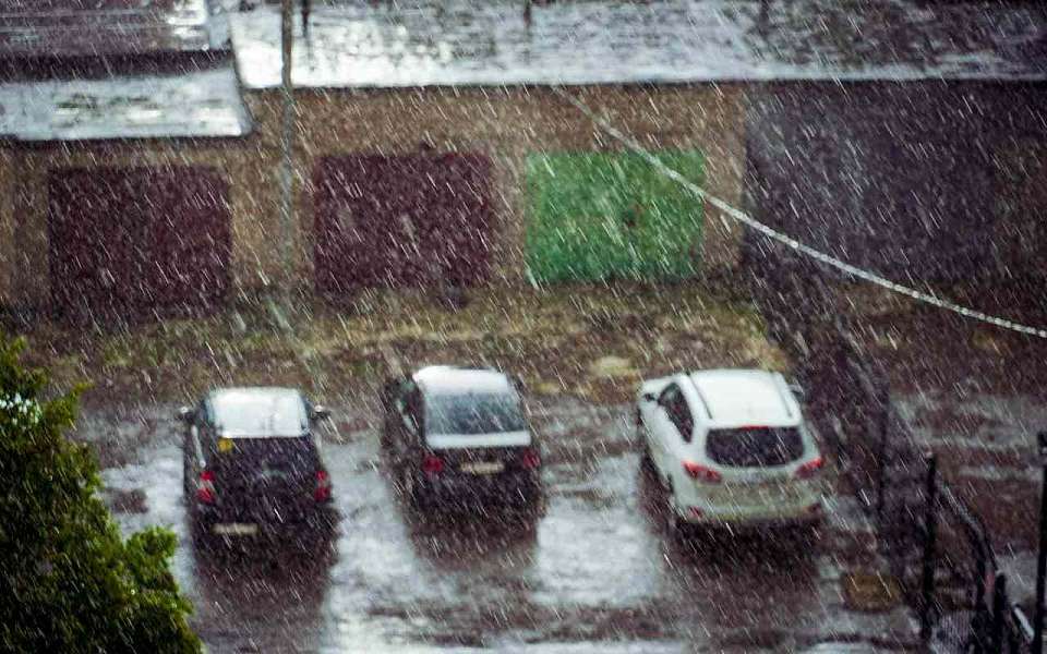 Общегородской субботник в Воронеже из-за плохой погоды перенесли на 18 октября