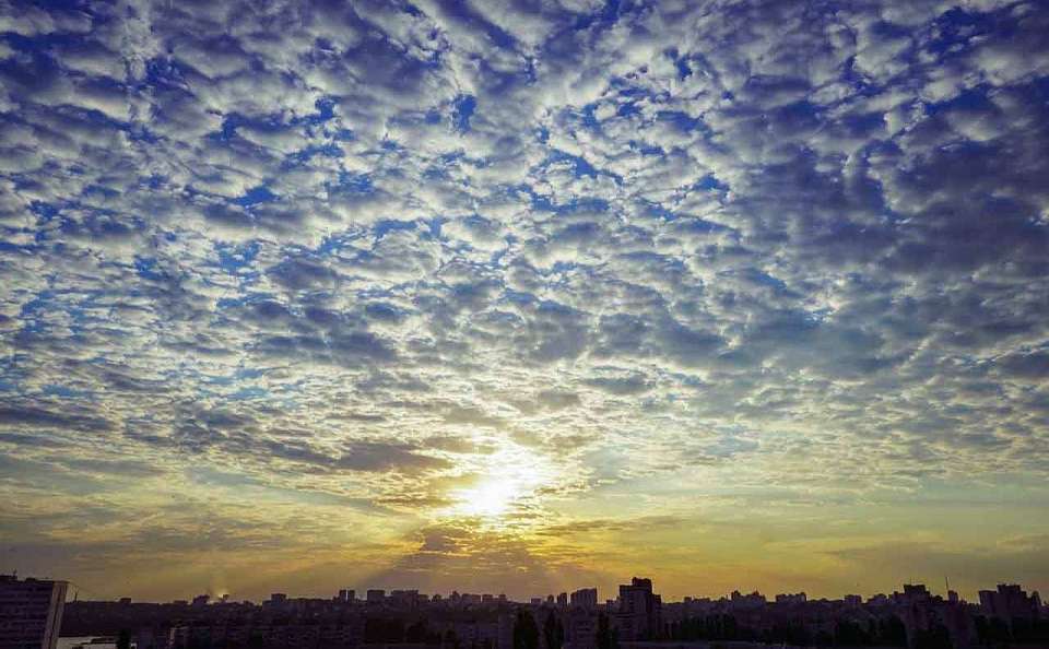 На короткой рабочей неделе до +8 градусов похолодает в Воронежской области