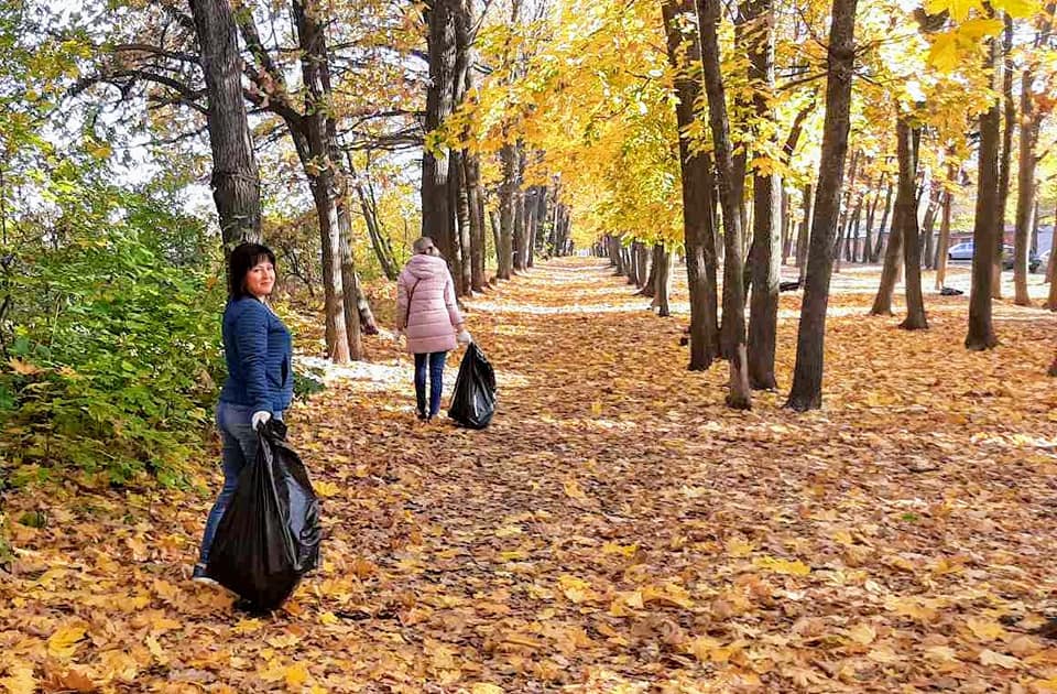 В Центральном районе Воронежа прошел субботник в осенних тонах