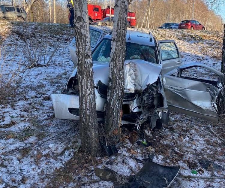 Во врезавшейся в кювете в дерево «Ладе» под Воронежем погибла 73-летняя женщина