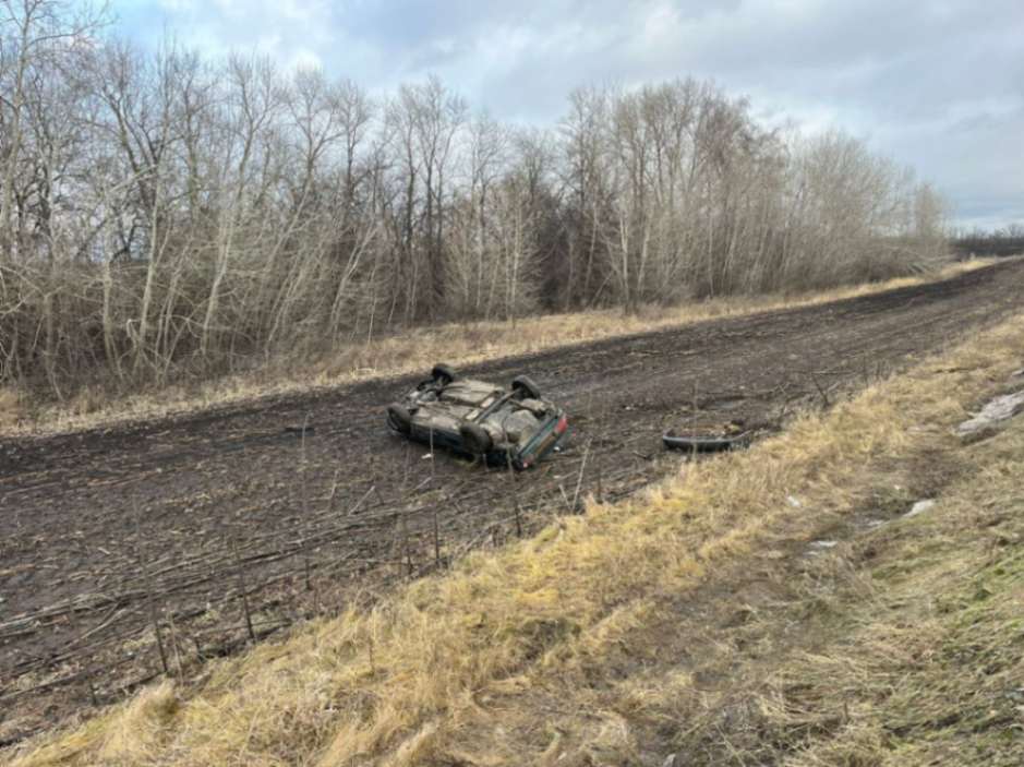 В канун Нового года резко сократилось число ДТП в Воронежской области