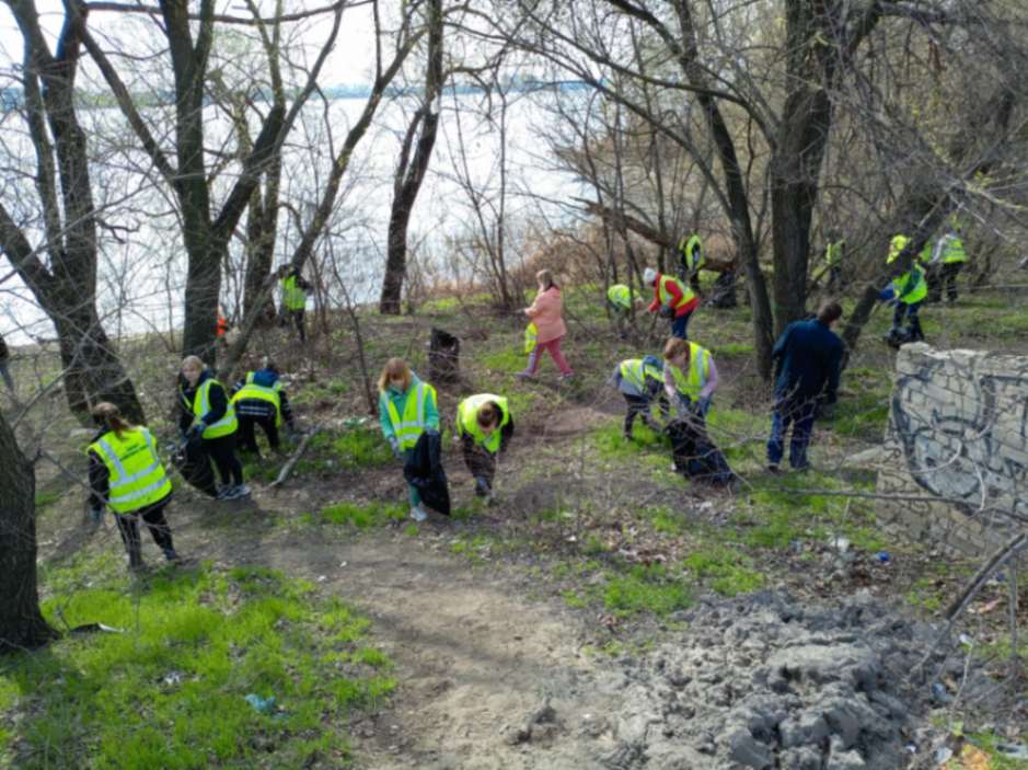 Как прошел общегородской субботник в Воронеже