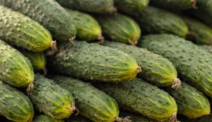 В Воронеже огурцы стали дороже экзотических фруктов