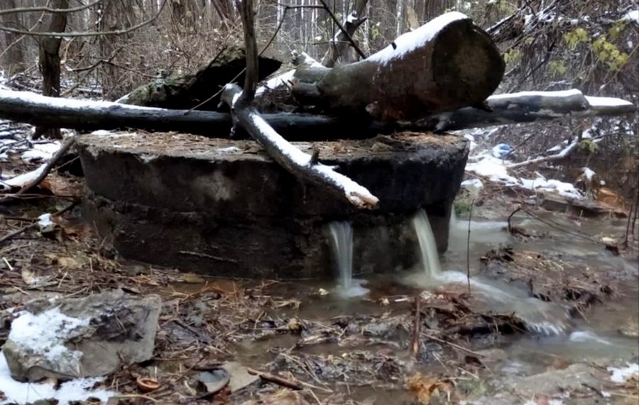 В Воронеже стоки канализации вновь затопили Северный лес