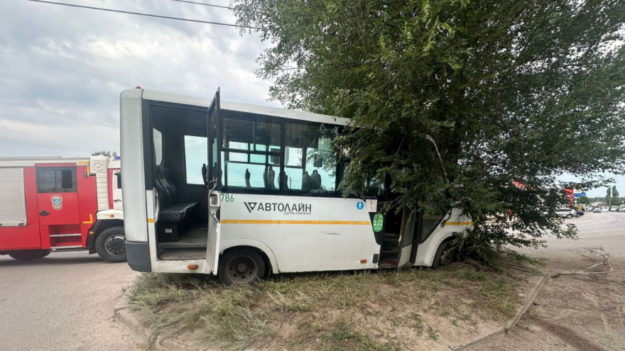 В Воронеже пьяный водитель маршрутки врезался в дерево