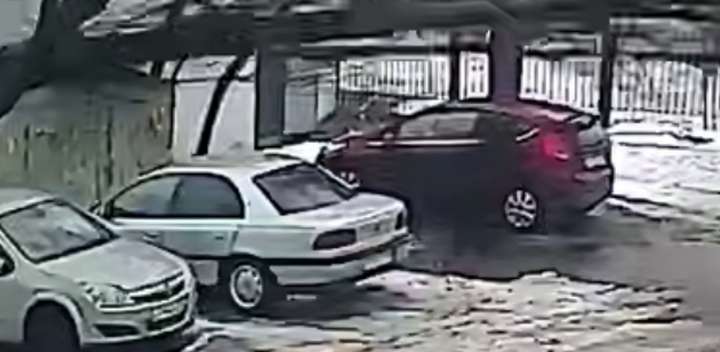 Выяснилось состояние женщины, на которую упало в Воронеже дерево