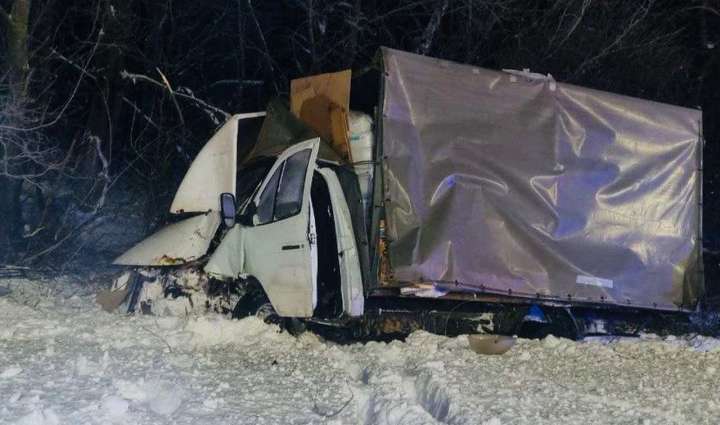 Госпитализировали водителя «Газели» после столкновения с «Пежо» под Воронежем