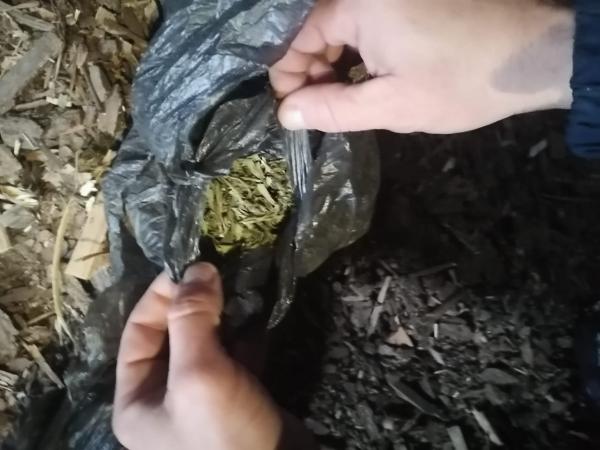 Вышедшего из тюрьмы наркомана снова задержали в Воронежской области с марихуаной 