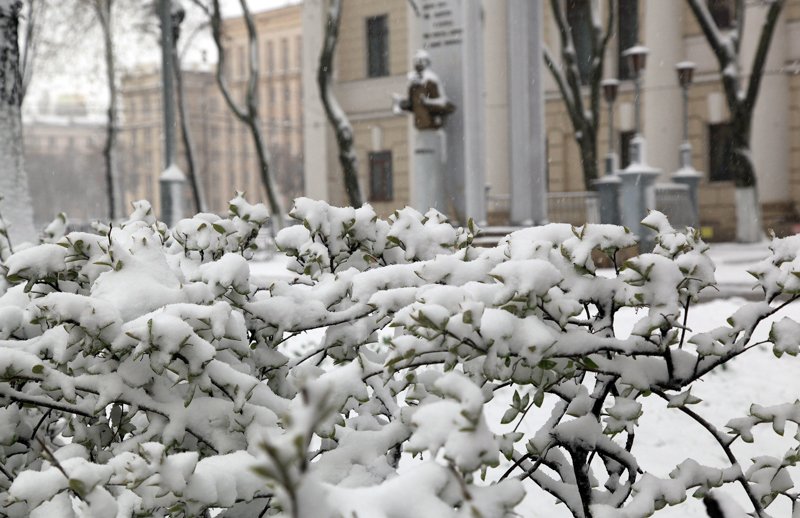 Прогноз на декабрь дал главный метеоролог Воронежской области