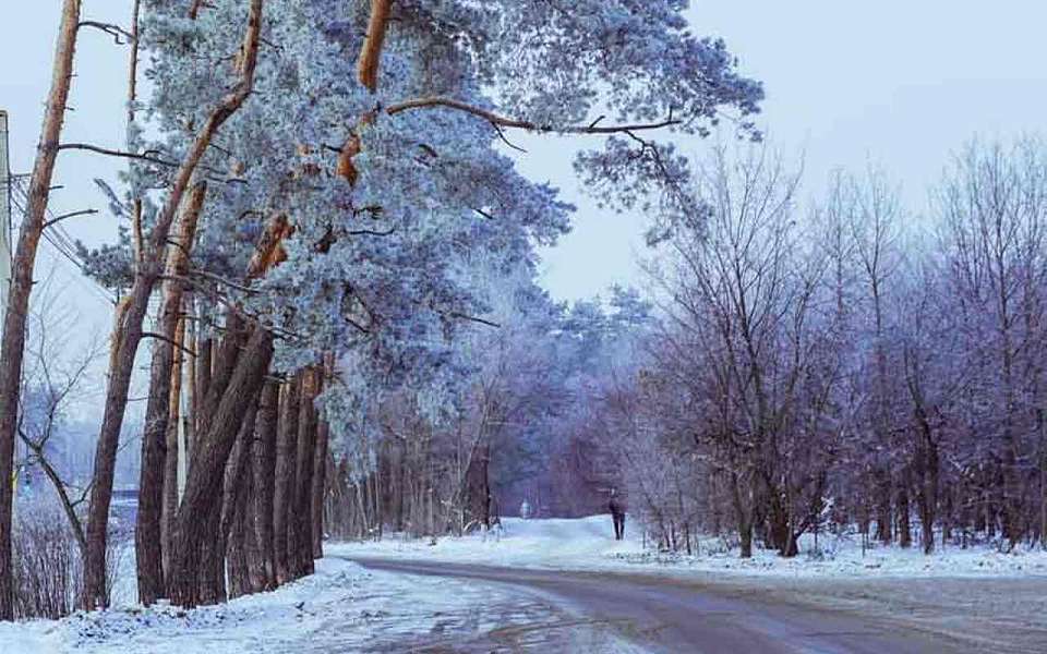 Мороз до -24 градусов ударит в Воронежской области в выходные