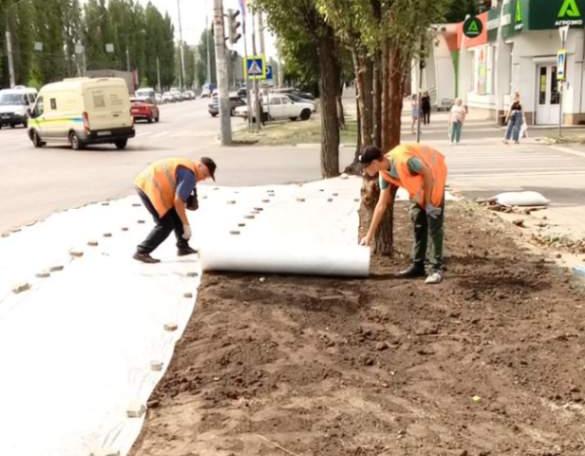 В Железнодорожном районе восстанавливают газоны  