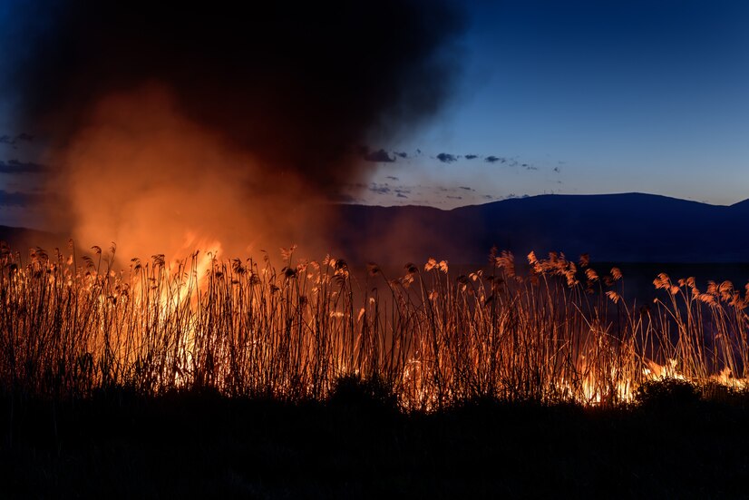 Бессонную ночь провели жители воронежского села из-за возгорания сухого камыша