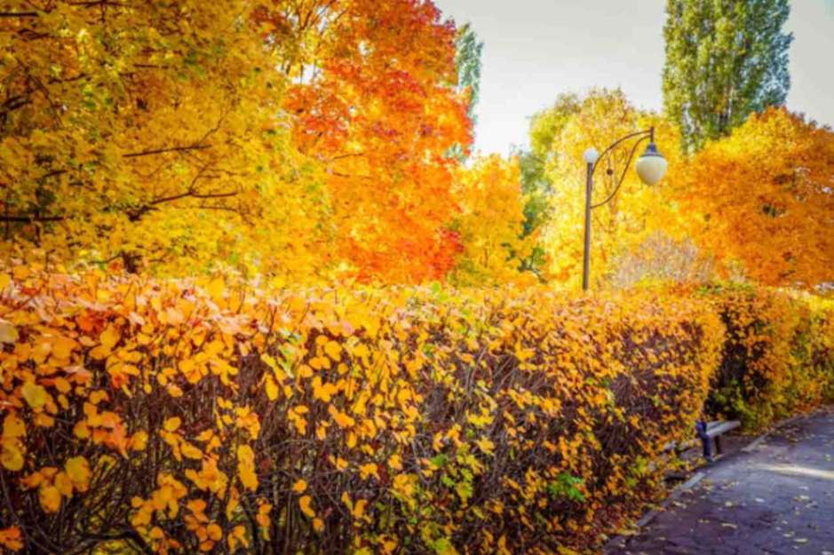 Неожиданно потеплеет до +15 градусов в Воронежской области