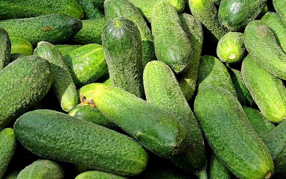 Еще больше подорожали огурцы и картошка в Воронежской области