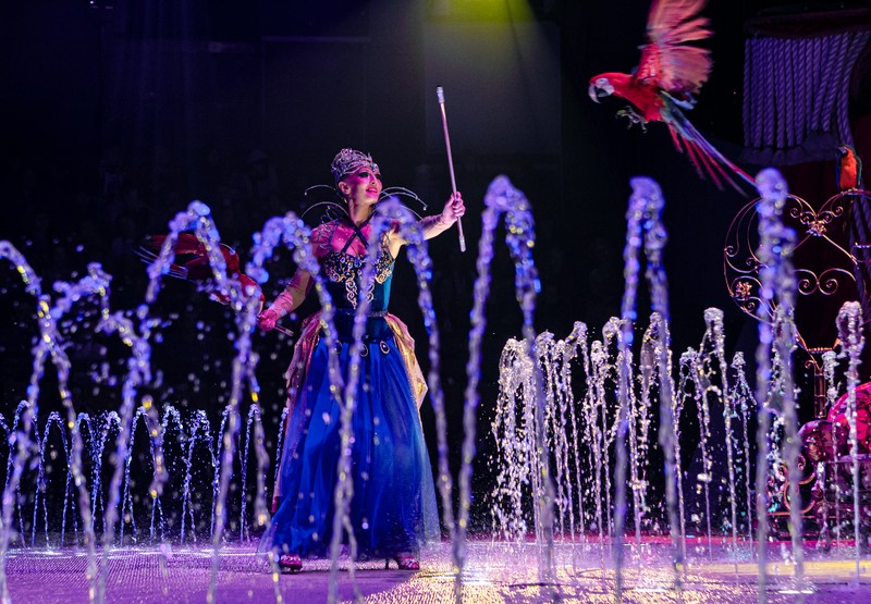 Цирковая феерия и 90 тонн воды