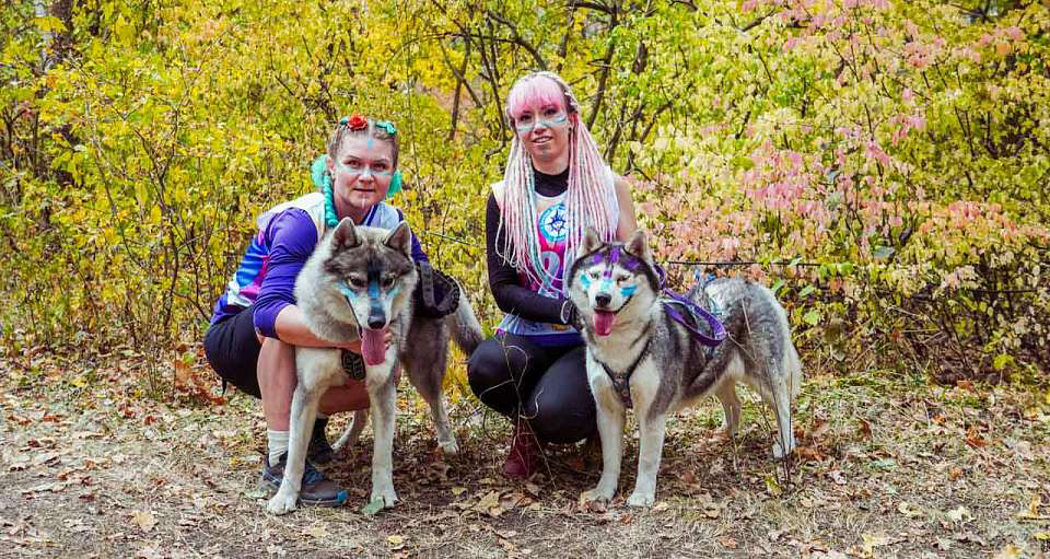 Дефиле собак и джаз на органе. Куда воронежцам сходить 16 и 17 августа