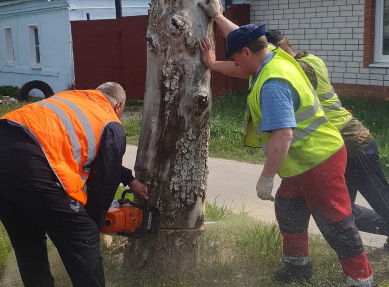 В Железнодорожном районе завершился месячник по благоустройству