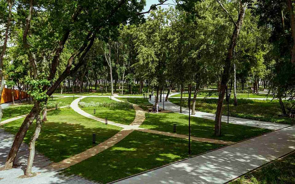 На бесплатные мероприятия в городских парках 19 октября пригласили воронежцев