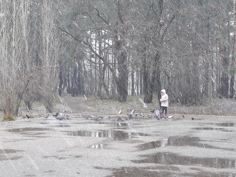 Воронежцев предупредили о гололёде, тумане и мокром снеге до конца выходных