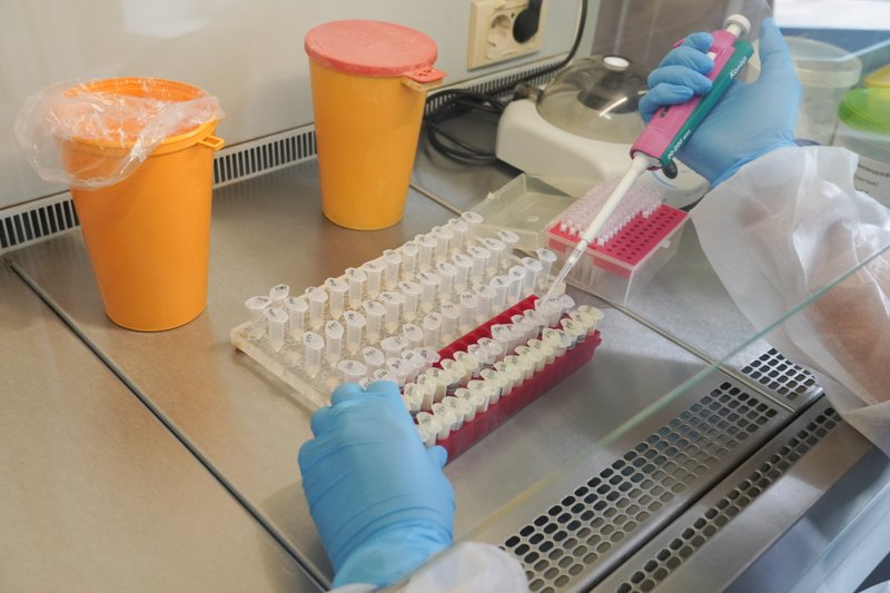 В Воронежской области коронавирусом заразились 92 человека за сутки