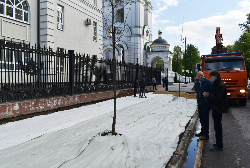 В Центральном районе Воронежа совместно с общественниками обсудили защиту зеленых насаждений 