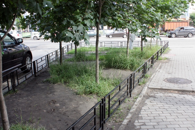 В Воронеже продолжают внедрять механизмы муниципально-частного партнерства