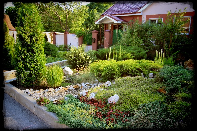 В Центральном районе Воронежа стартовал конкурс на лучшее благоустройство и содержание объектов