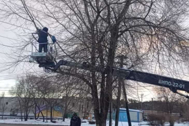 Для чего и как производится обрезка деревьев в Левобережном районе  