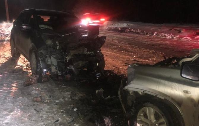 В смертельном ДТП пострадали женщина и 9-летняя девочка в воронежском райцентре