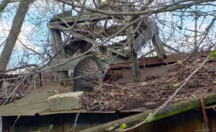 О погоде на четверг, 10 апреля, рассказали воронежские синоптики