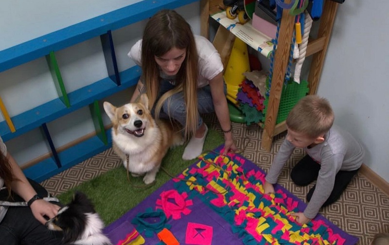 Как собака улучшает и продлевает человеку жизнь