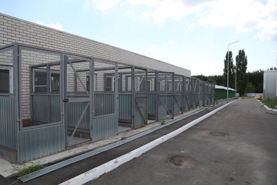 Строительство муниципального приюта для бездомных животных продолжается в Воронеже