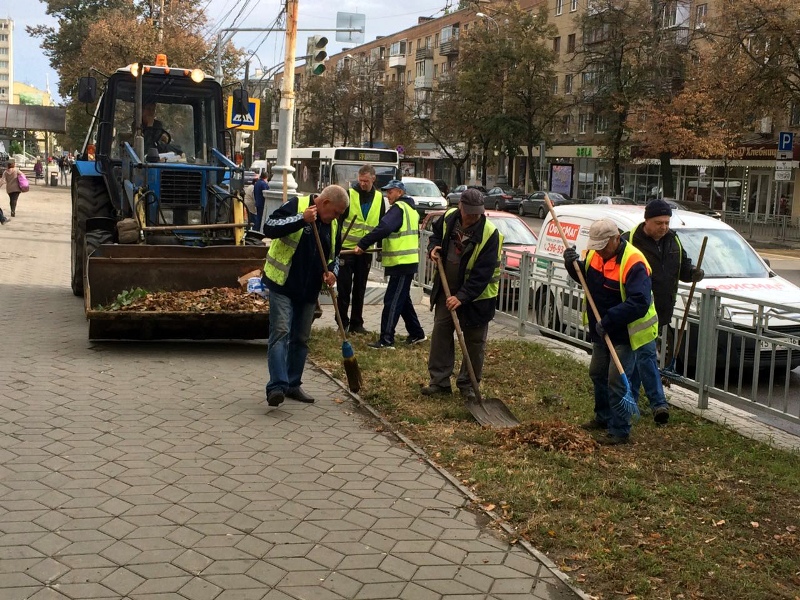 В Воронеже усилены темпы уборки территории
