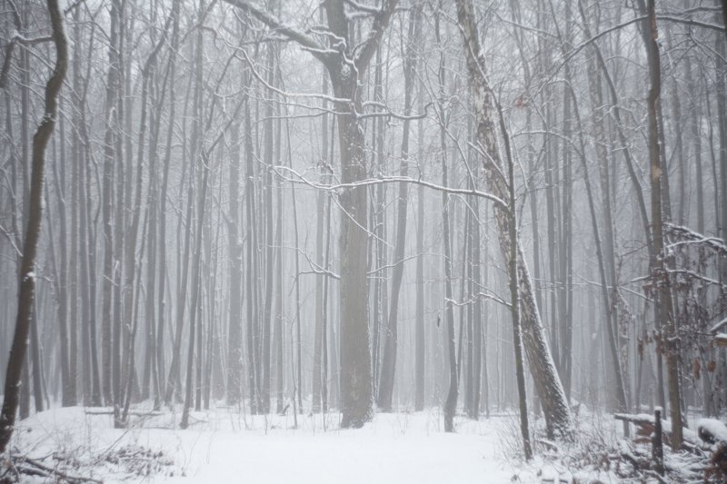 Сильные морозы и ветер ожидаются в Воронежской области в первые зимние выходные