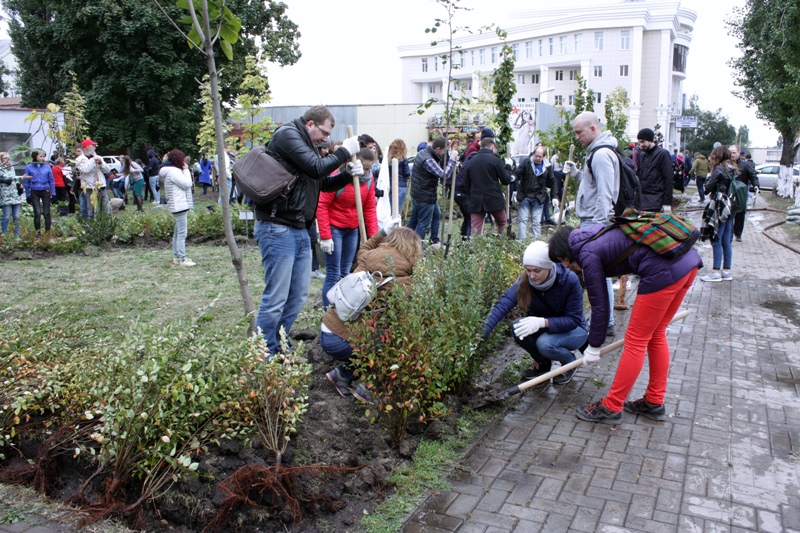 Бойцы "компьютерного фронта": в Ленинском районе Воронежа озеленили сквер