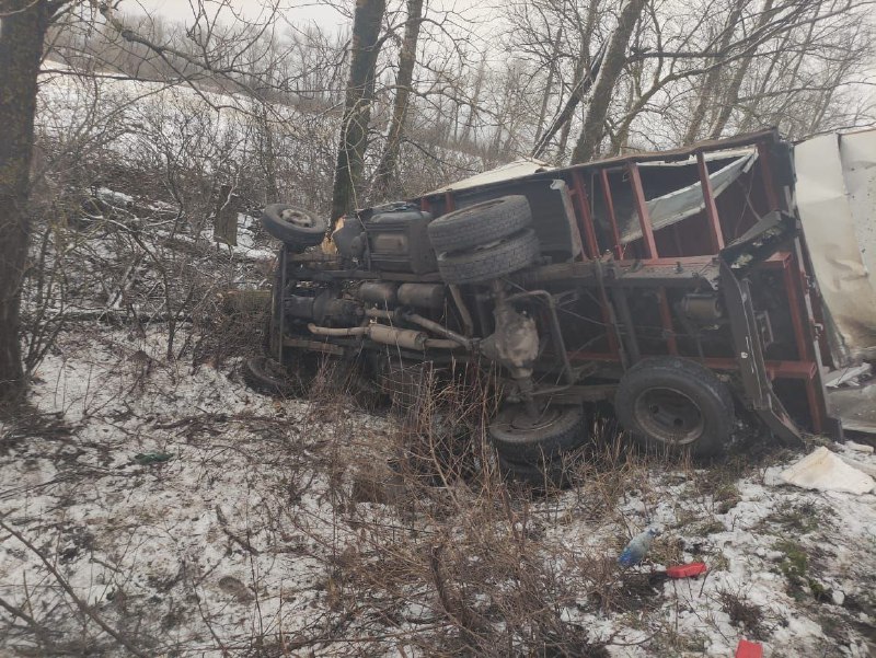 Под Воронежем микроавтобус лоб в лоб столкнулся с грузовиком