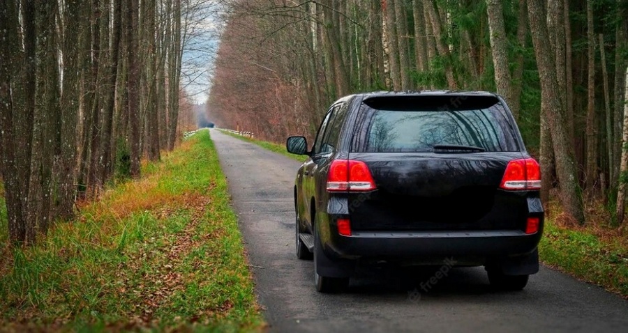 Из-за долга в 30 млн рублей у воронежца похитили внука