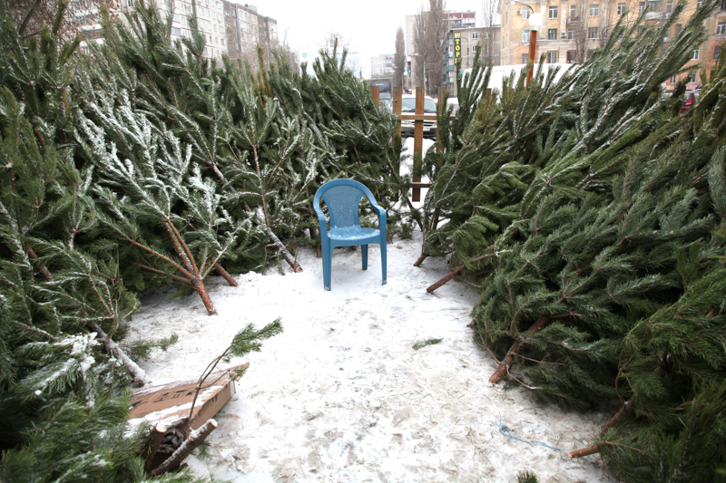 С 19 декабря в Воронеже открываются ёлочные базары