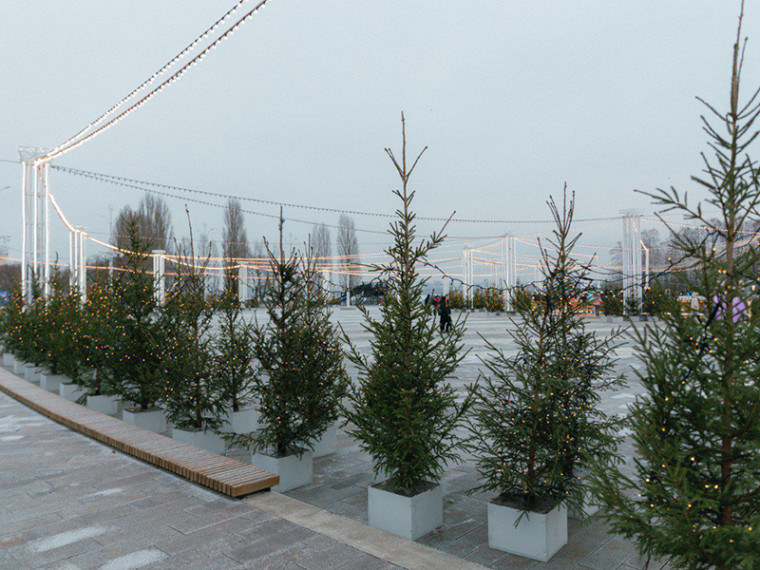 График работы катка на Адмиралтейской площади напомнили воронежцам