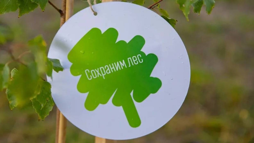 К осенней акции «Сохраним лес» присоединится Воронежская область